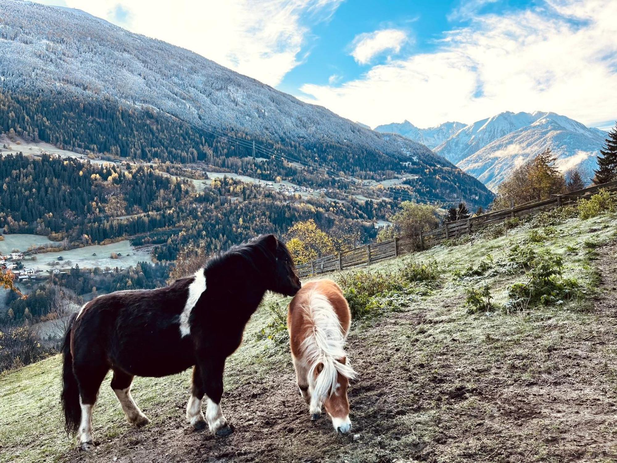 Apart Alpenzeit Arzl im Pitztal Esterno foto