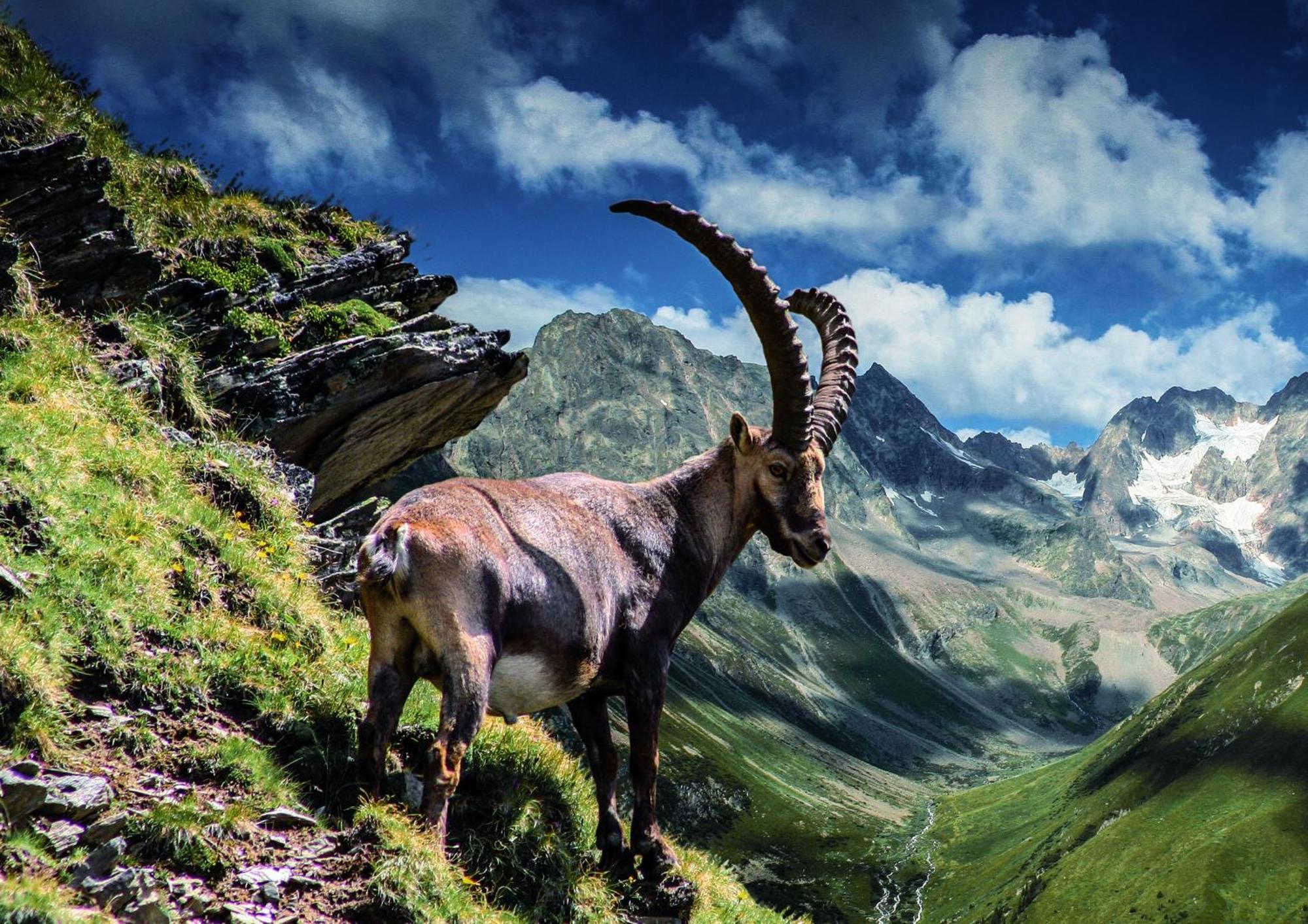 Apart Alpenzeit Arzl im Pitztal Esterno foto