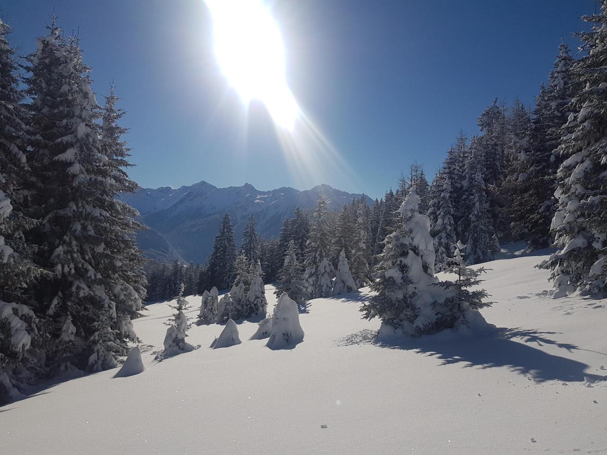 Apart Alpenzeit Arzl im Pitztal Esterno foto